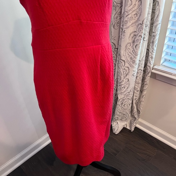 Maeve Red Tulip Hem Knit Dress Size Medium with Exposed Back Zip Up Size Med - Picture 9 of 13